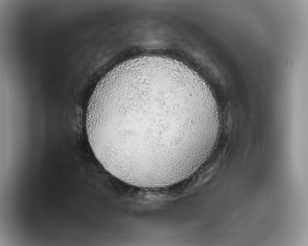 X0000093501301200711091655