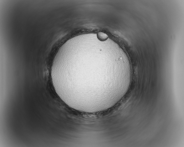 X0000093501302200711091655