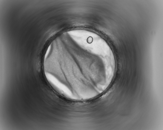 X0000093501306200711091655