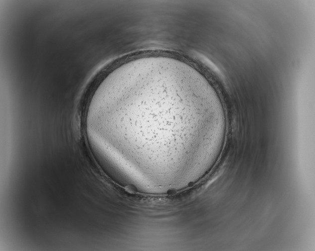 X0000093501310200711091655