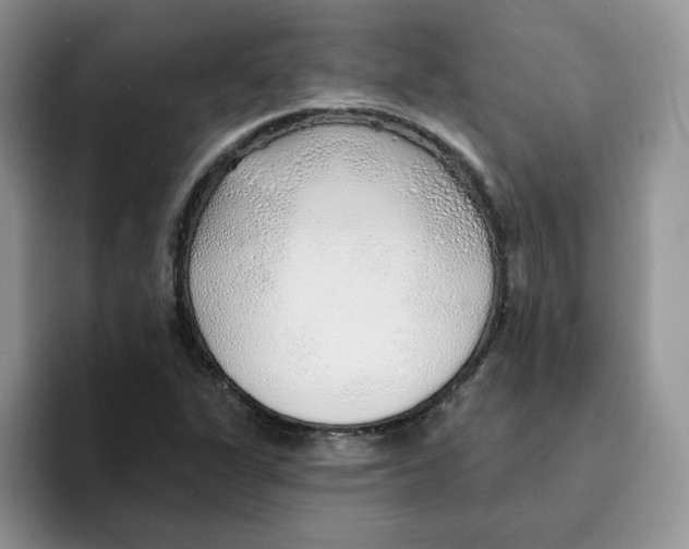 X0000093501311200711091655