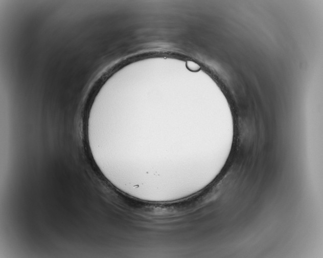 X0000093501318200711091655