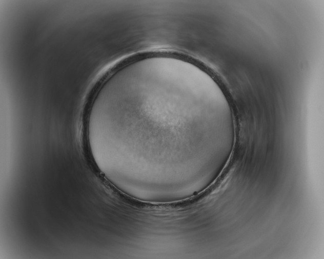 X0000093501319200711091655