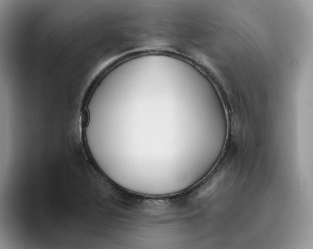 X0000093501320200711091655