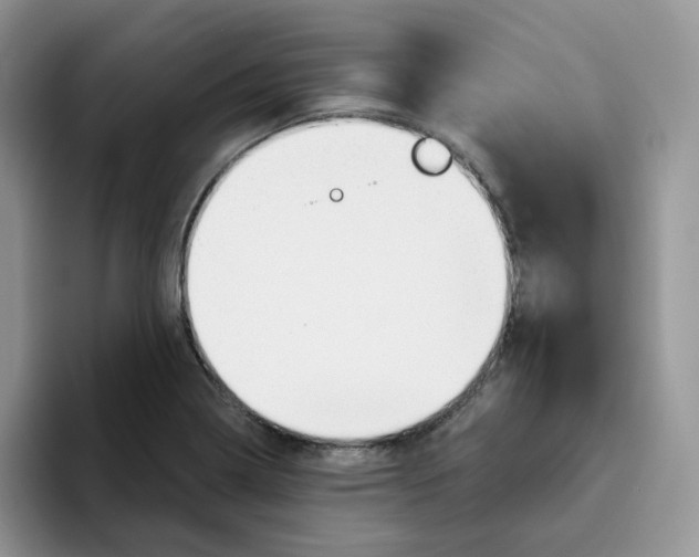 X0000093501322200711091655