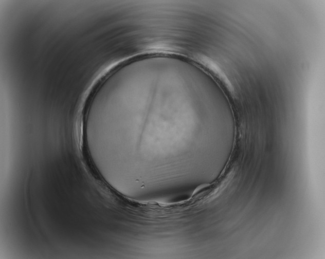 X0000093501323200711091655
