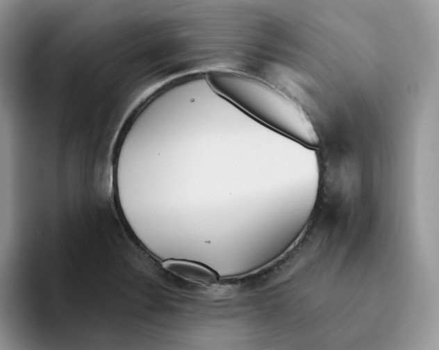 X0000093501324200711091656