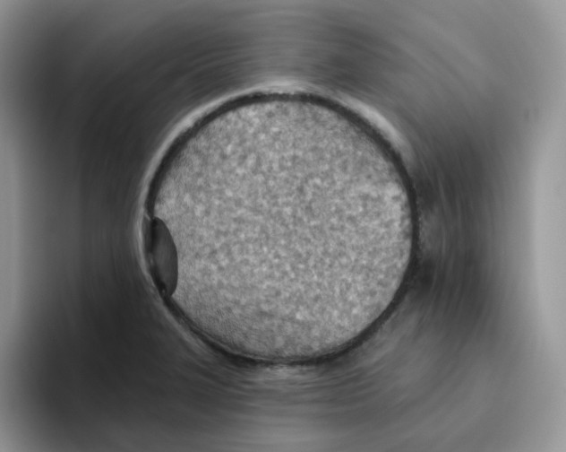X0000093501327200711091656