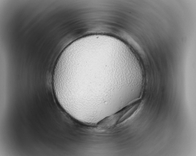 X0000093501329200711091656