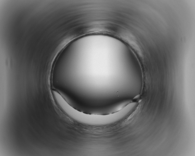 X0000093501330200711091656
