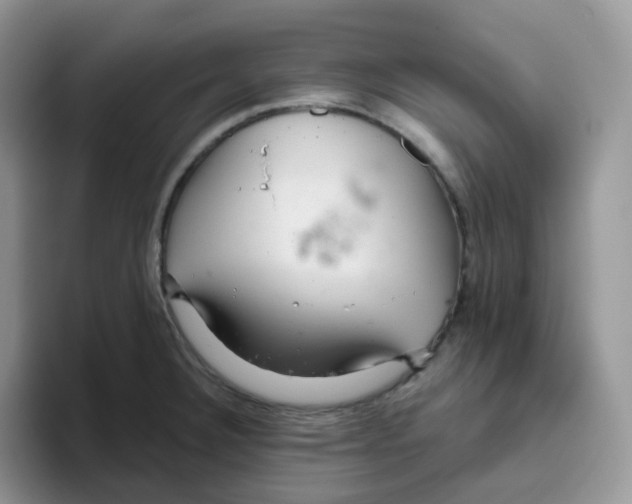 X0000093501332200711091656