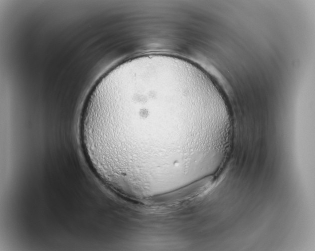 X0000093501333200711091656