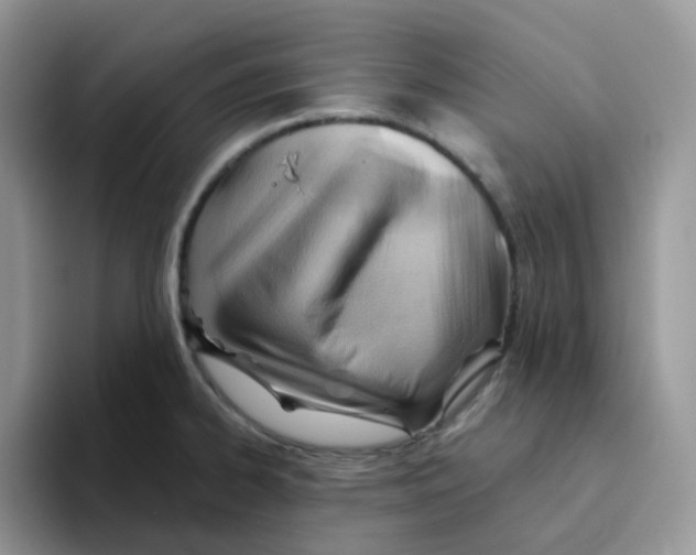 X0000093501334200711091656