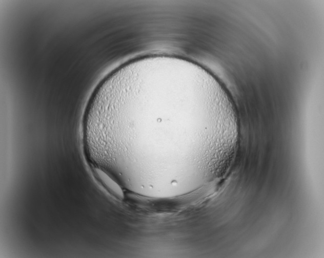 X0000093501335200711091656