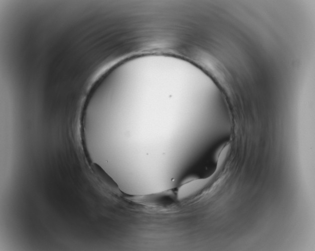 X0000093501336200711091656