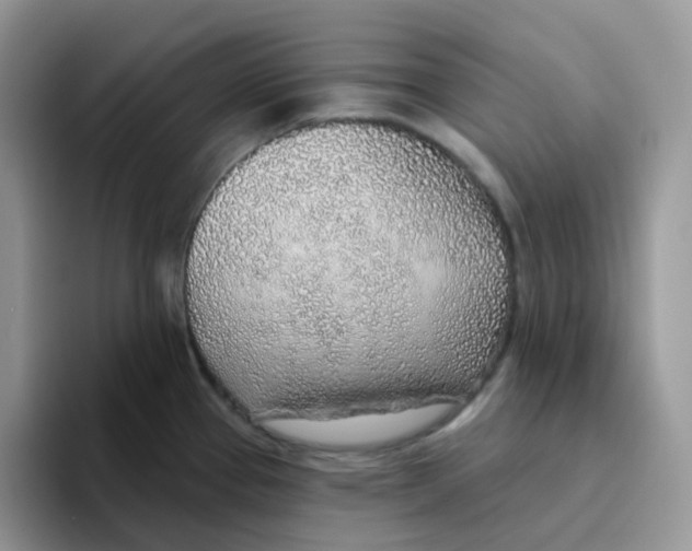 X0000093501337200711091656