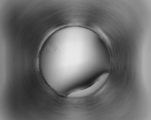 X0000093501340200711091656