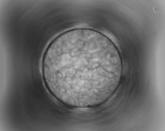 X0000093501342200711091656