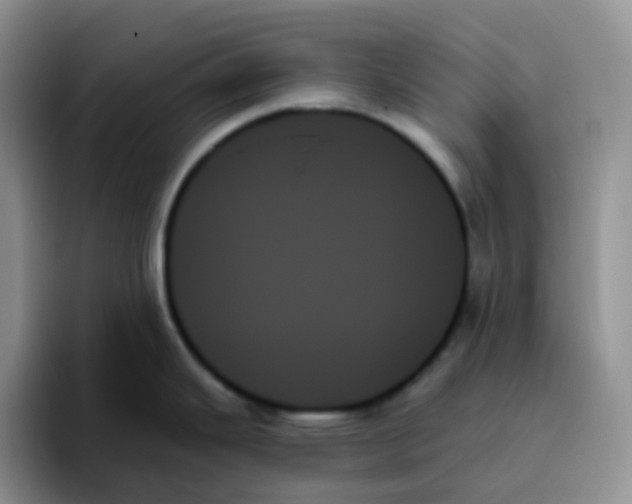 X0000093501343200711091656