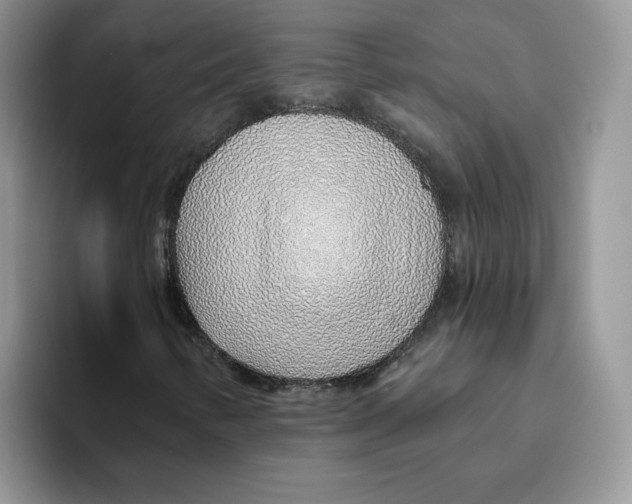 X0000093501346200711091655