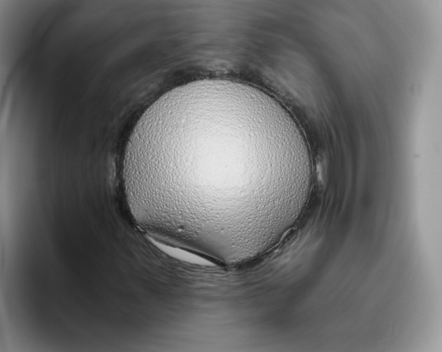 X0000093501347200711091655
