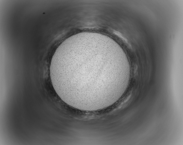 X0000093501350200711091655