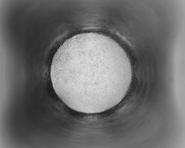 X0000093501351200711091655