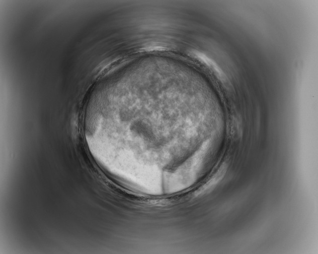 X0000093501353200711091655