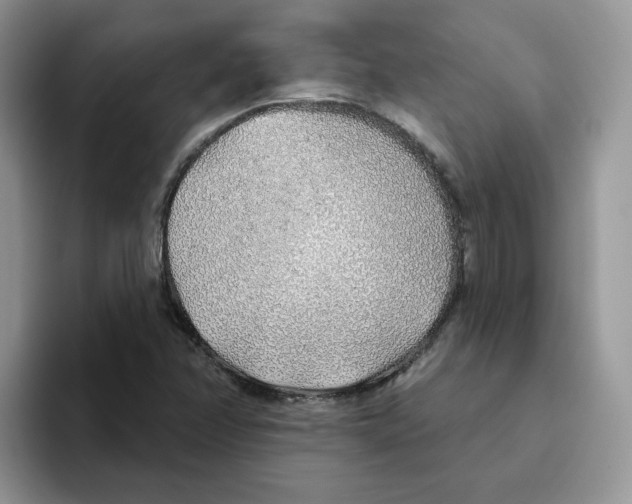 X0000093501358200711091655