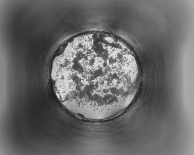X0000093501359200711091655