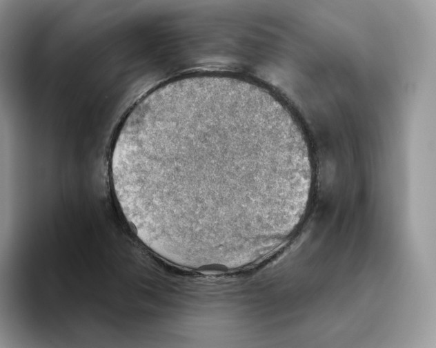 X0000093501362200711091655