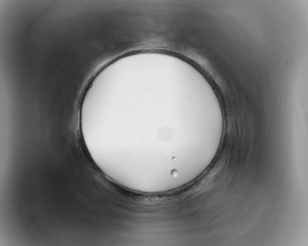 X0000093501366200711091655