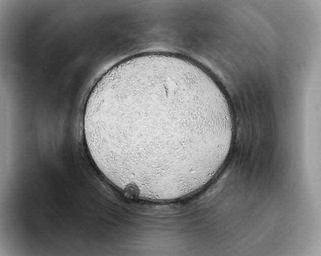X0000093501367200711091655