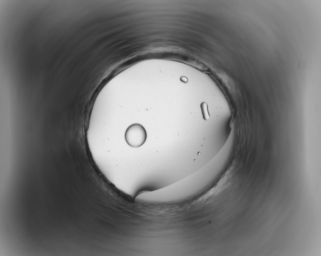 X0000093501369200711091655