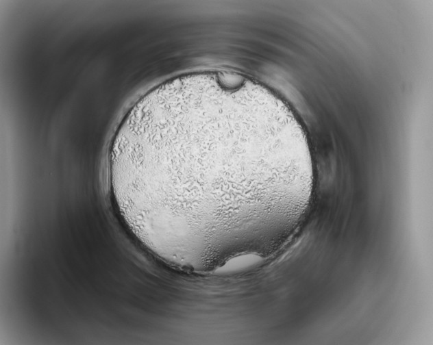 X0000093501371200711091655