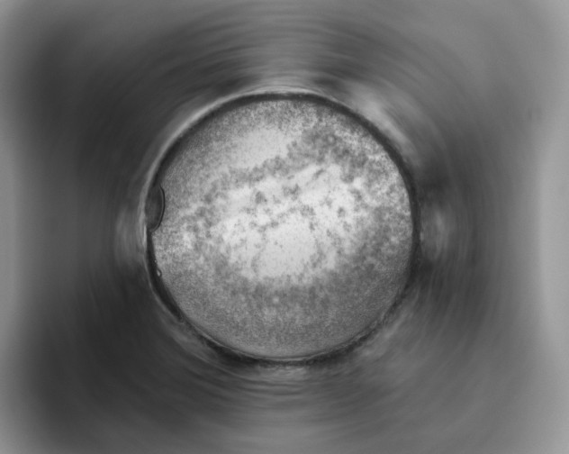 X0000093501372200711091655
