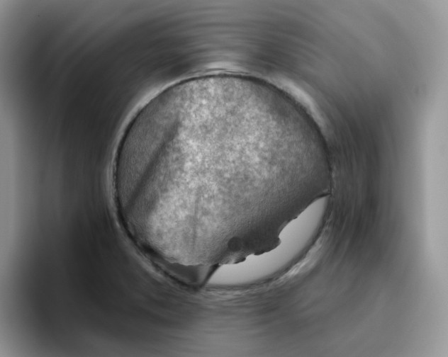 X0000093501373200711091655