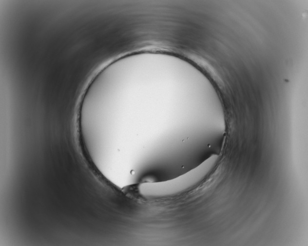 X0000093501375200711091655