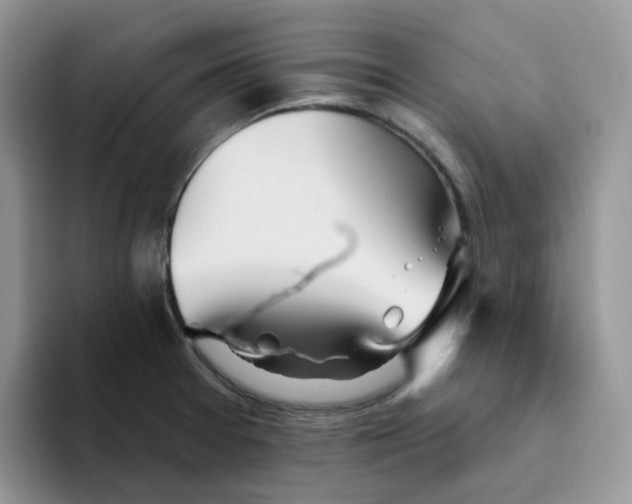 X0000093501377200711091655