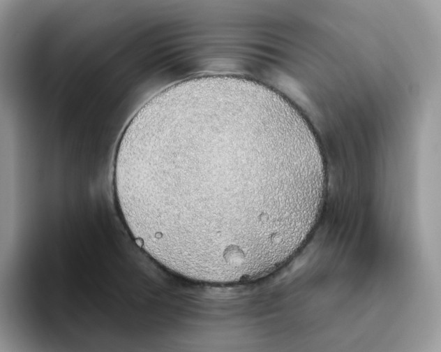 X0000093501378200711091655