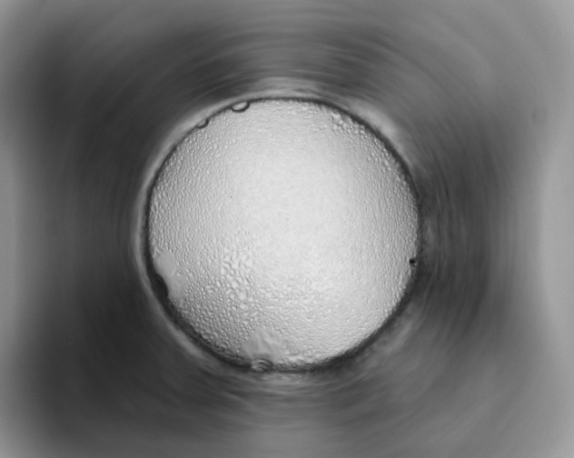 X0000093501379200711091655