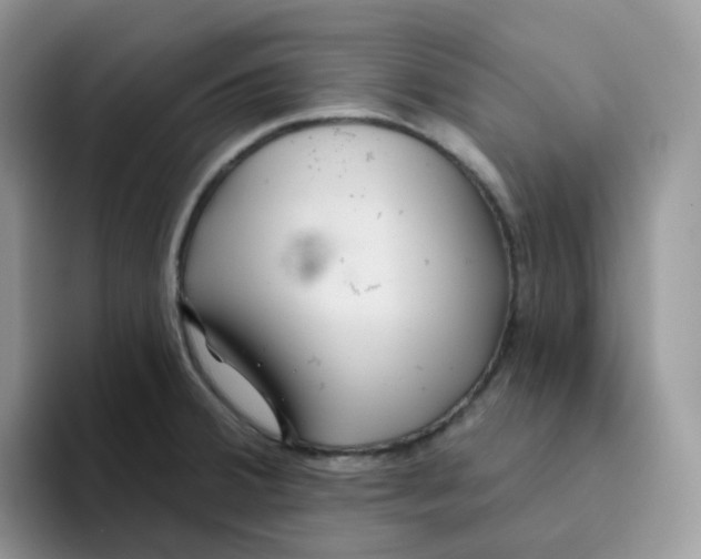 X0000093501380200711091655
