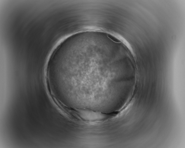X0000093501381200711091655