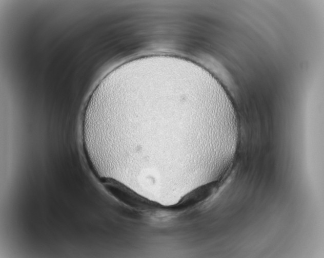 X0000093501382200711091655
