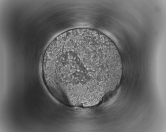 X0000093501383200711091655