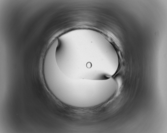 X0000093501384200711091655
