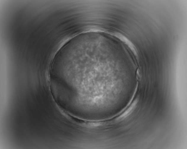 X0000093501385200711091655