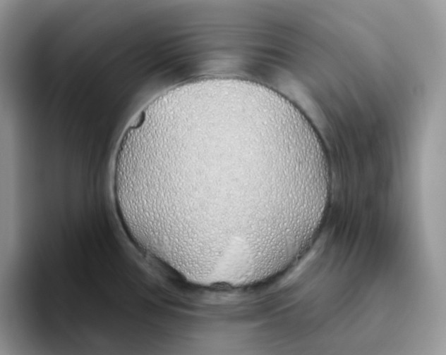 X0000093501386200711091655