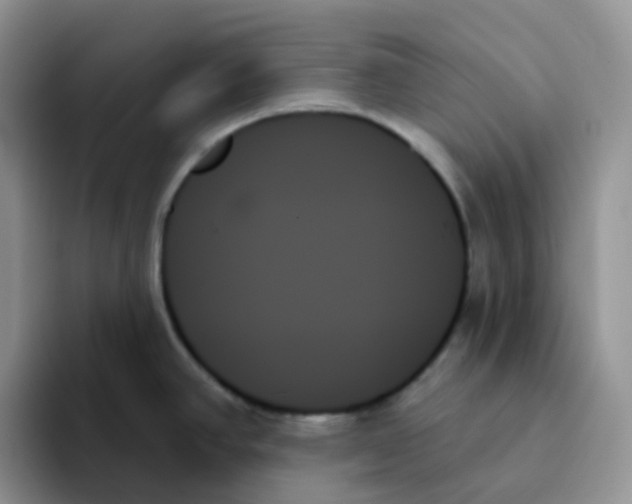 X0000093501390200711091655