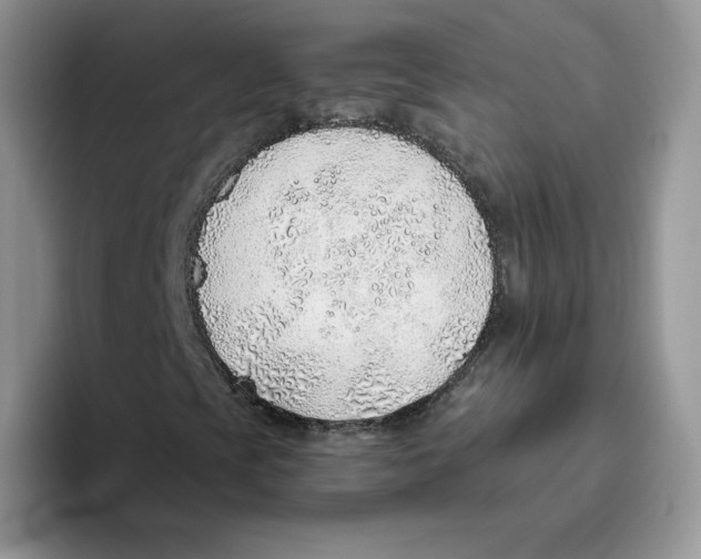 X0000093501393200711091654